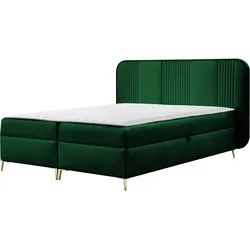 BOXBETT Fandy - H3