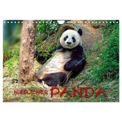 Niedlicher Panda (Wandkalender 2026 DIN A4 quer), CALVENDO Monatskalender