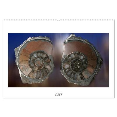 Versteinerte Welt (Wandkalender 2027 DIN A2 quer), CALVENDO Monatskalender