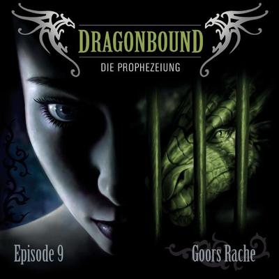 Folge 09: Goors Rache - Peter Lerf, Audio, 4064066619688