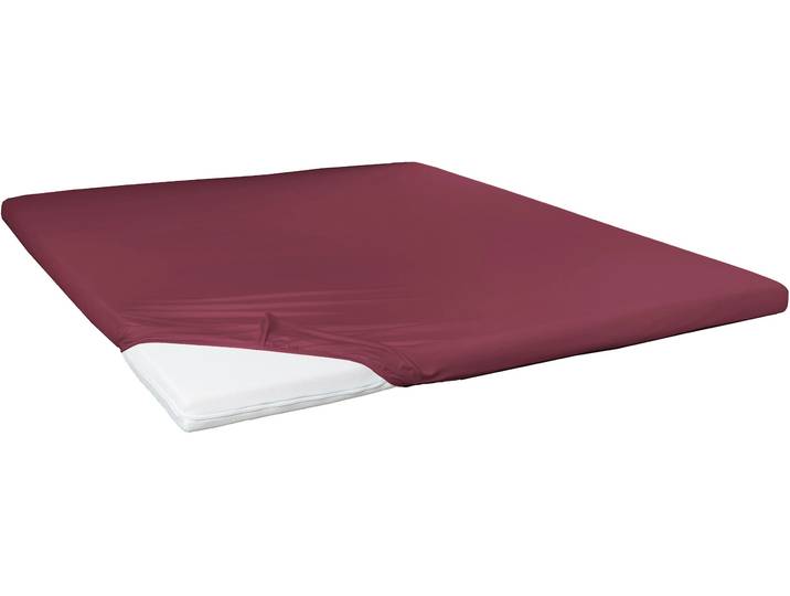 Spannbettlaken PRIMERA Elasthan-Feinjersey Topper , rot (bordeaux), 1 Stk., Jersey-Elasthan, 90-100x200 10cm, Jersey-Elasthan, Obermaterial: 95% Baumwolle, 5% Elasthan, Bettlaken, Spannbettlaken, Aus 95% gekämmter Baumwolle und 5% Elastan