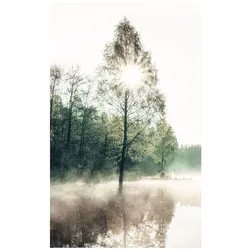 Bild SUNNY TREE (BH 20x30 cm) - grün - BH 20x30 cm