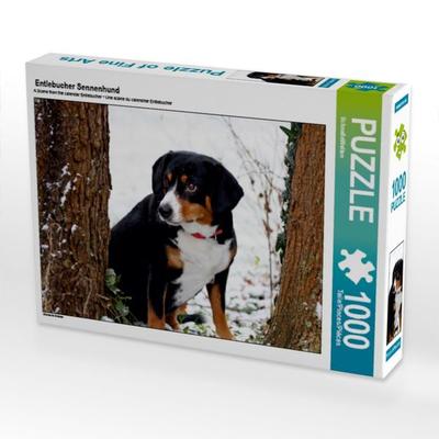 CALVENDO Puzzle Entlebucher Sennenhund | 1000 Teile Lege-Größe 64x48cm Foto-Puzzle für glückliche Stunden