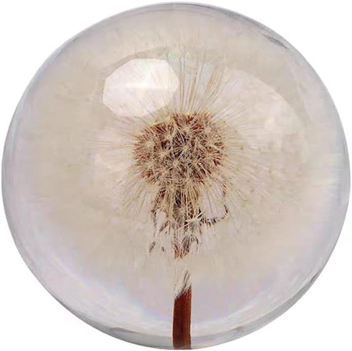Transparante kristallen bol met eeuwig bloemontwerp voor jouw woonkamer decoratie, diameter: 8 cm