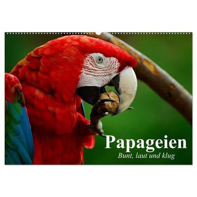 Papageien. Bunt, laut und klug (Wandkalender 2026 DIN A2 quer), CALVENDO Monatskalender