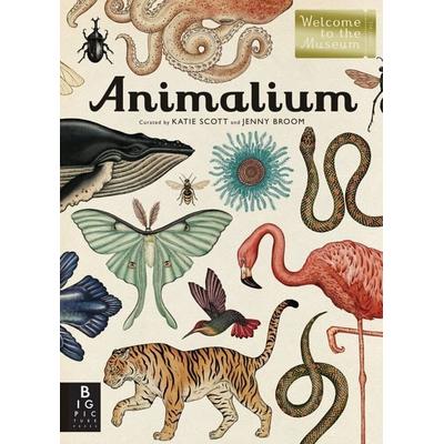 Animalium, Gebundene Ausgabe von Jenny Broom, Candlewick Press, 978-0-7636-7508-0