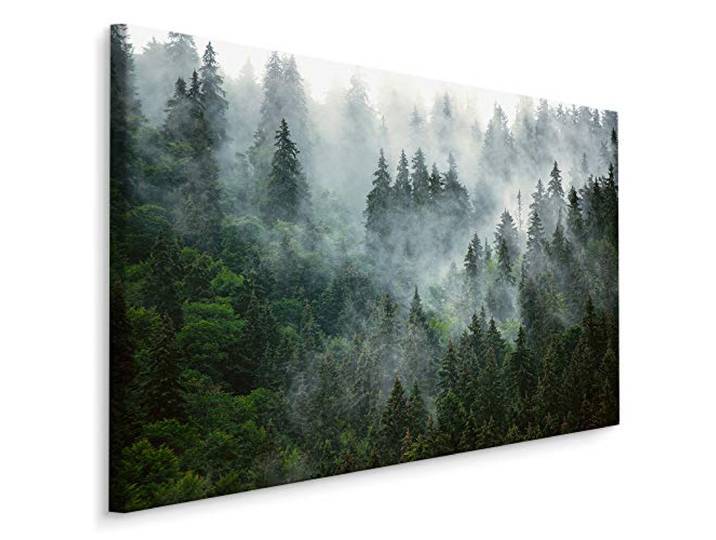 Muralo Wandbild Natur, Wald, Bäume, Nadelwald, Nebel, Himmel - 120x80 cm