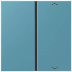 Jung Taste 1fach m. Pfeilsymb. LC 401 TSAP 212