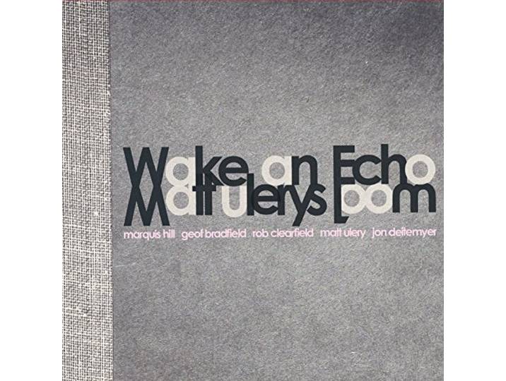 Matt Ulery - Wake An Echo