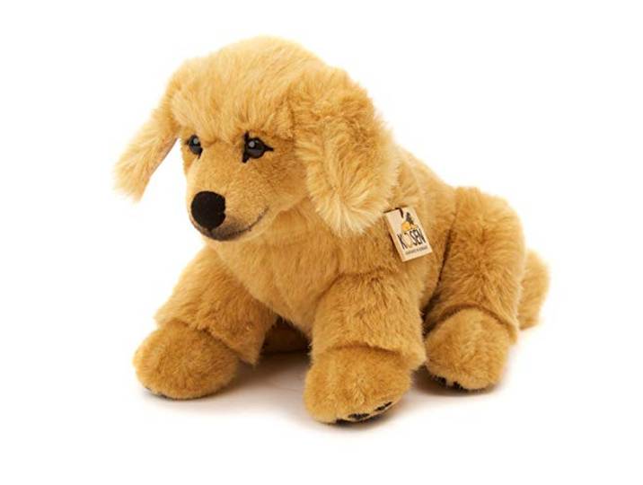Kösener Golden Retriever Welpe, sitzend