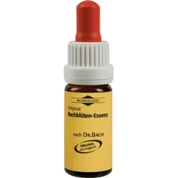 BACHBLÜTEN Murnauer Elm Tropfen 20 ml