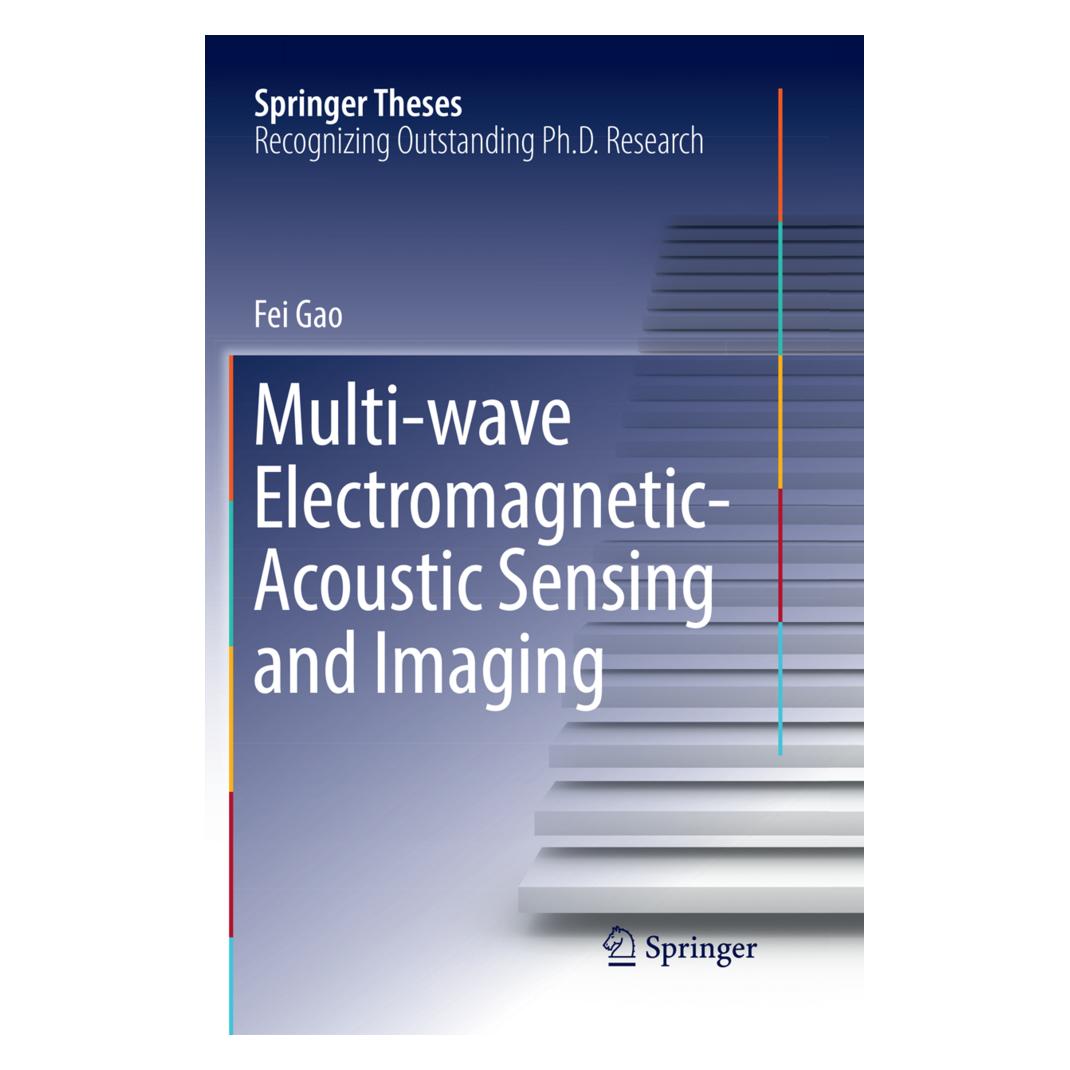 Springer Multi-wave Electromagnetic-Acoustic Sensing and Imaging (Englisch, Softcover, Fei Gao) (55998576)