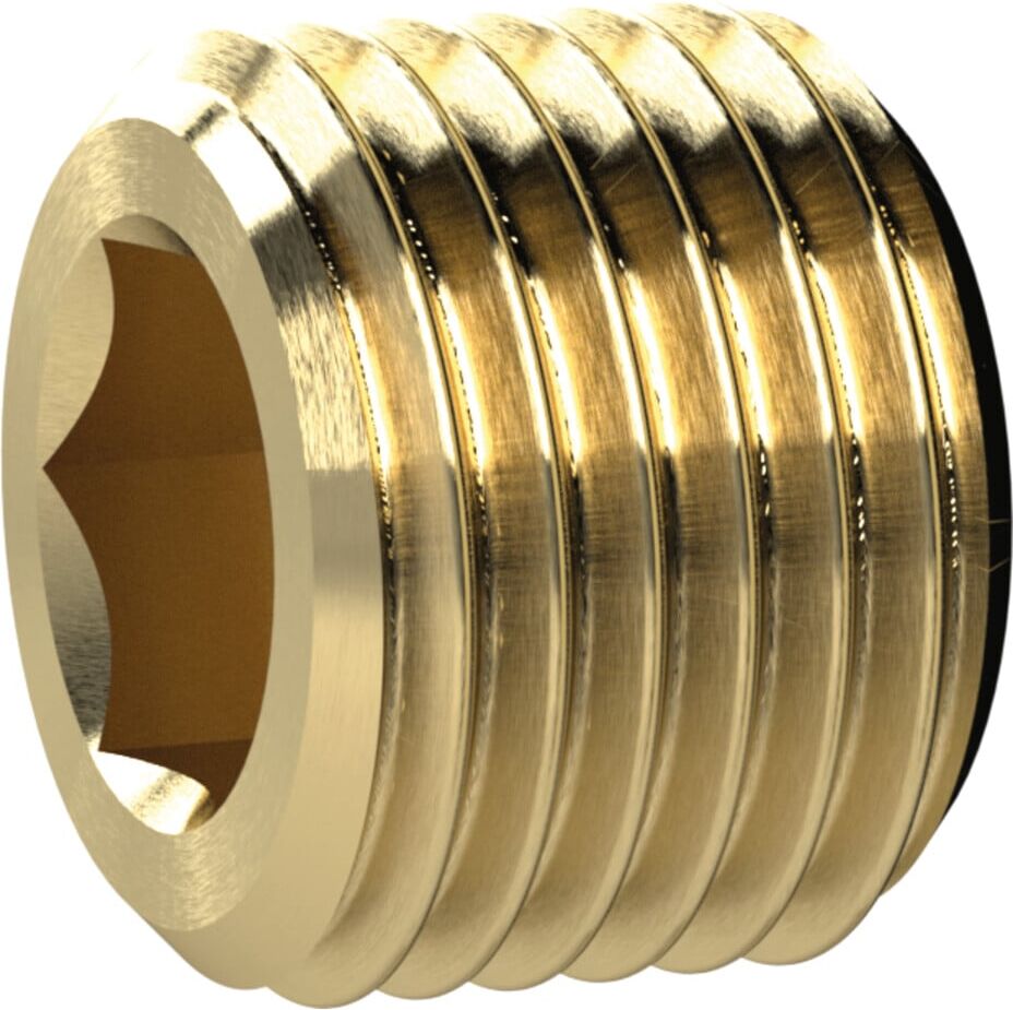 Riegler Verschlussschraube, Innensechskant, ohne Bund, M14x1,5, SW 7, MS, MS290OBM14)