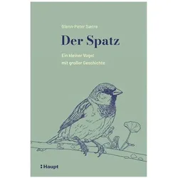 Der Spatz, Ratgeber von Glenn-Peter Saetre