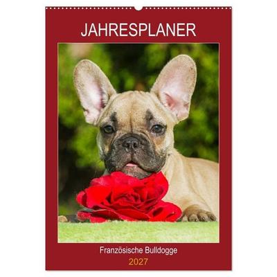 Jahresplaner Französische Bulldogge (Wandkalender 2027 DIN A2 hoch), CALVENDO Monatskalender