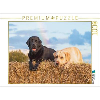 CALVENDO Puzzle Nach dem Regen | 1000 Teile Lege-Größe 64x48cm Foto-Puzzle für glückliche Stunden