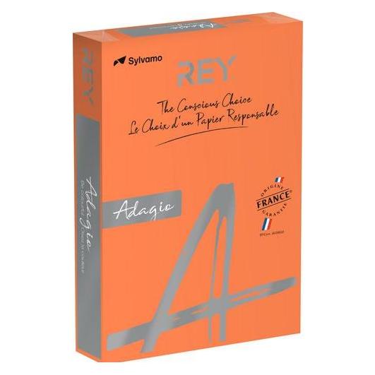Rey Farbiges Papier RYADA160X412 Orange 160 g/qm (A4, 250 Blätter, 160 g/m²) (RYADA160X412)