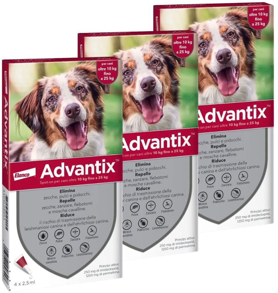 Advantix Spot On Cane 10-25Kg KIT 12 PIPETTE