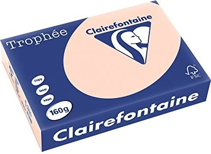 Clairefontaine Kopierpapier Trophée lachs DIN A4 160 g/qm 250 Blatt