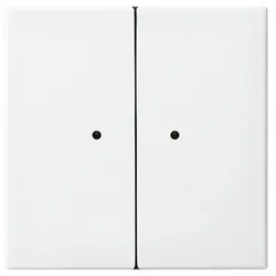 Busch-Jaeger Wandsender 6732-914