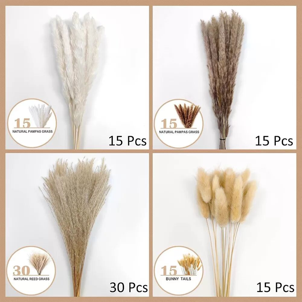 INF Bouquet de 75 Tiges de Fleurs Séchées pour Arrangements Floraux & Décoration Intérieure