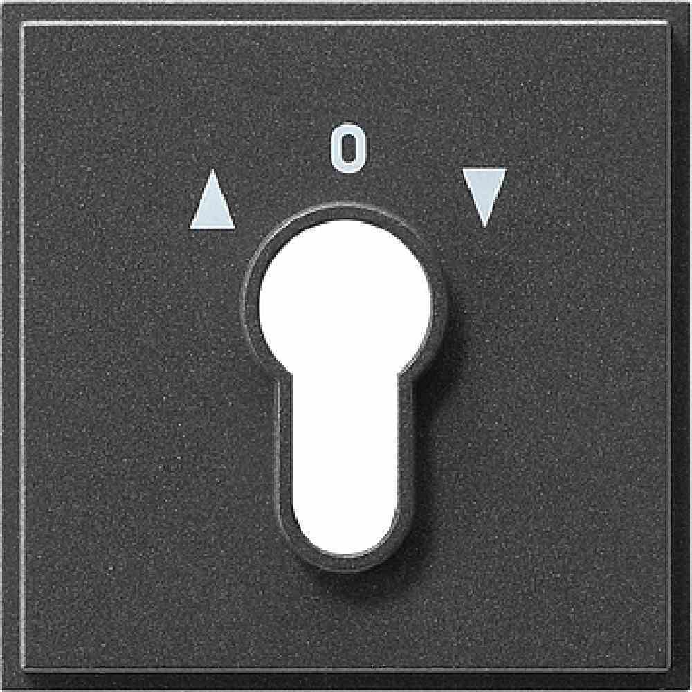Gira Accessoires voor elektrische schakelaars 066467