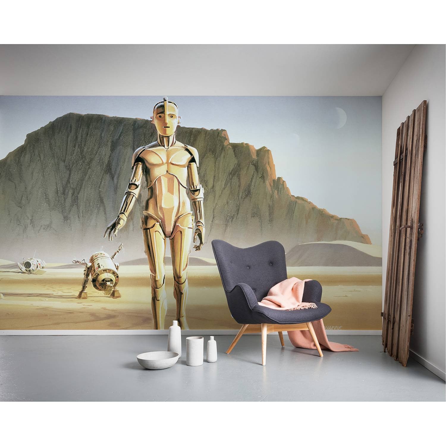 home24 Fotobehang StarWars Classic RMQ Droids 500 x 250 cm