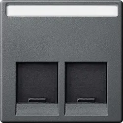 Merten Zentralplatte 2-fach anthrazit MEG4574-0414