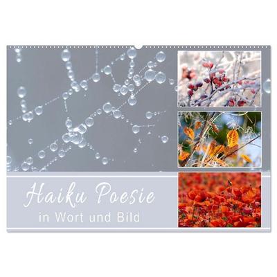 Haiku Poesie in Wort und Bild (Wandkalender 2027 DIN A2 quer), CALVENDO Monatskalender