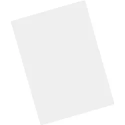 Zebra MISC-MC93-SCRN-01 Zubehör für tragbare Computer Displayschutz, Geräte Schutzfolie