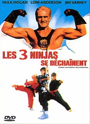 Sean McNamara - Les Ninjas se Déchainent [FR Import] - Preis vom 15.10.2026 23:06:25 h