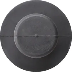 Gira Saugheber Edelstahl für Frontscheibe 853800