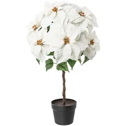 CREATIV green künstliche Pflanze Poinsettienstamm, 75cm, weiß
