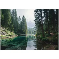 FOTOTAPETE Wald Bäume Grün 300x210 cm