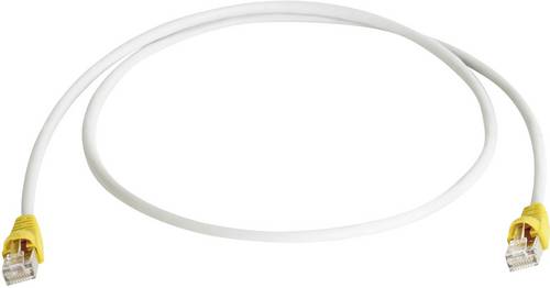 Telegärtner RJ45 (gekreuzt) Netzwerk Anschlusskabel CAT 6a S/FTP 5.00m Grau Flammwidrig, mit Rastnasenschutz