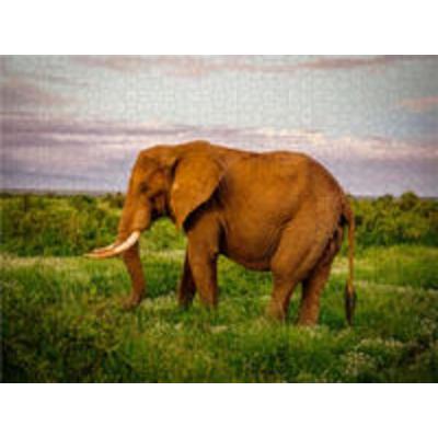 CALVENDO Puzzle Elefant in der Savanne | 1000 Teile Lege-Größe 64x48cm Foto-Puzzle für glückliche Stunden