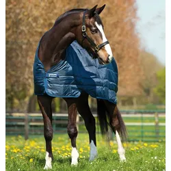 Unterdecke HW Liner100g 100g navy/navy 145