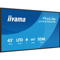 ProLite LH4375UHS-B2AG, Public Display schwarz (matt), UltraHD/4K, IPS, Lautsprecher, Daisy Chain