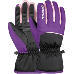 Reusch, Skihandschuhe