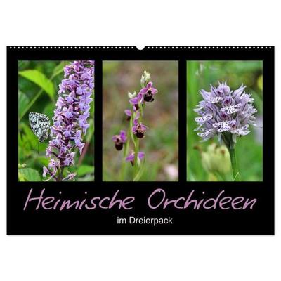 Heimische Orchideen im Dreierpack (Wandkalender 2027 DIN A2 quer), CALVENDO Monatskalender