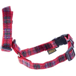 Arka Maulkorb für Hunde (One Size, Hund, Allgemein, Spazieren), Halsband + Leine