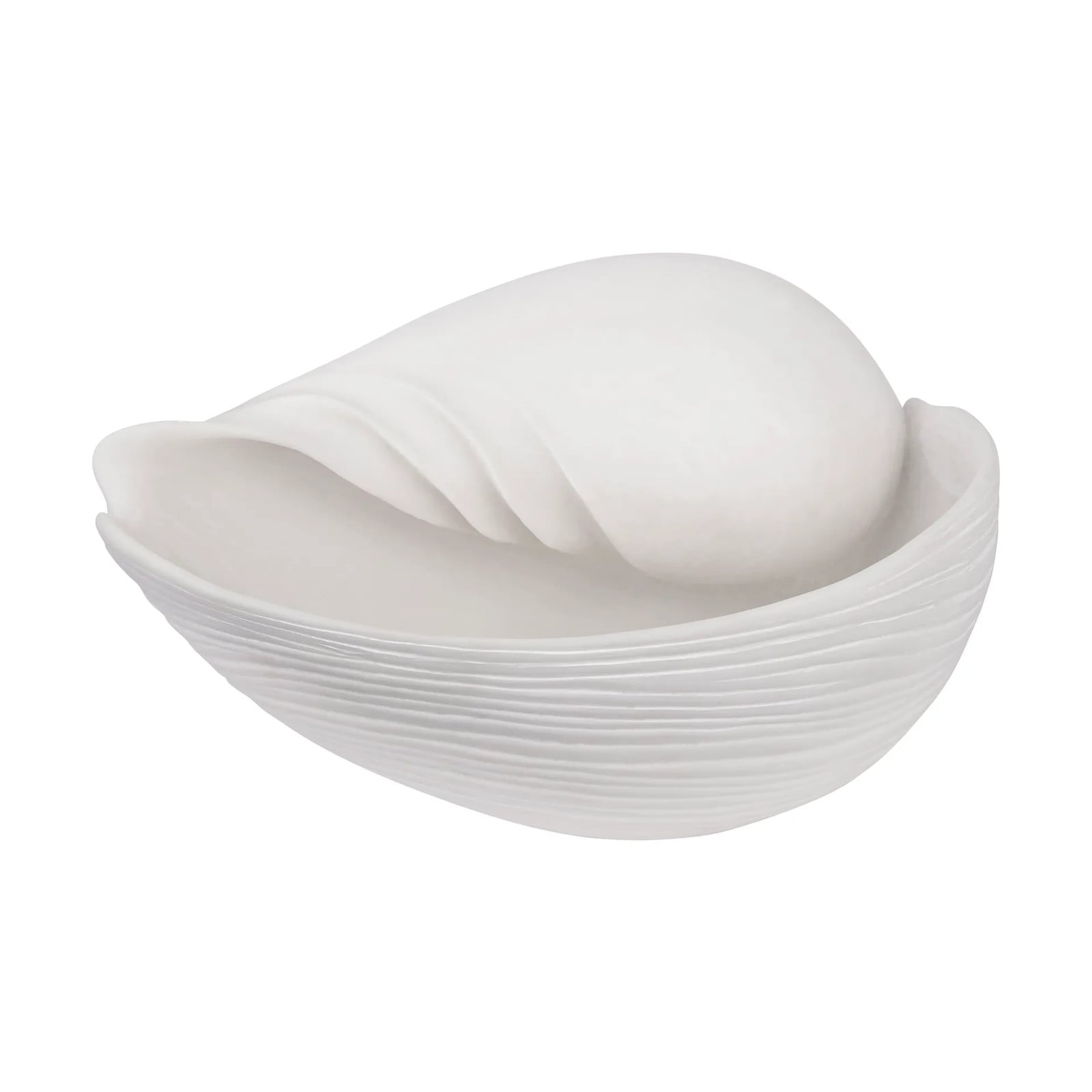 Mette Ditmer Conch decoratieschelp Large voor op tafel
