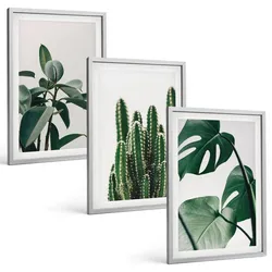 BILDER SET 3er Set - 40x60 cm Silberner Rahmen - Tropische ästhetische Pflanzen