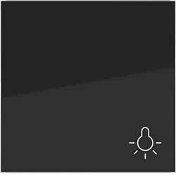 Hager WAW1012BG Wippe 1fach mit Aufdruck Symbol für Licht, A.x/C.x, nachtschwarz glänzend