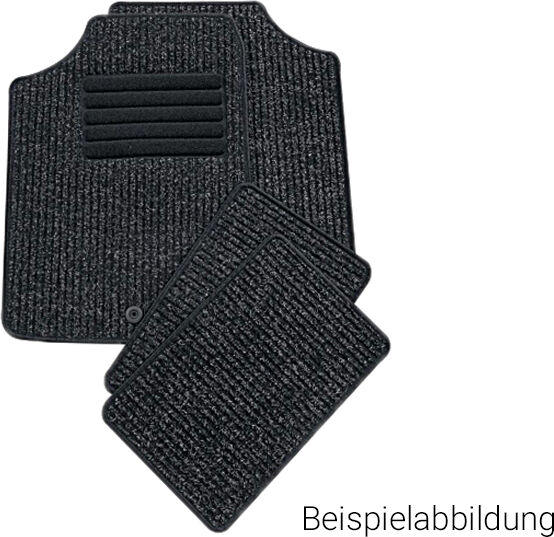 Petex Fußmatte Fußmatten Material Nadelfilzvelours / Anthrazit Größe 3 11170201