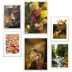 POSTER Set Mit 6 Kanadischer Herbst Rot Gelb & Braun A3 & A4 Weißer Rahmen