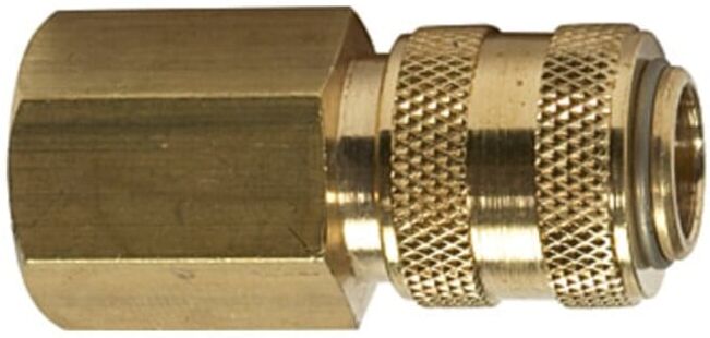 Raccord rapide RIEGLER NW 5 Ligne de raccordement NW 5 Ligne de raccordement MS vierge G 1/8 i. (243.20-E)