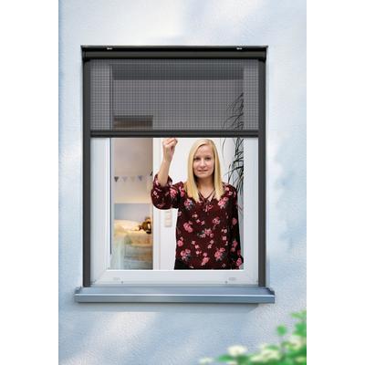 Insektenschutzrollo SCHELLENBERG "für Fenster, Fiberglas Fliegengitter mit Aluminium Rahmen", grau (anthrazit), B:160cm H:160cm, Fiberglas, Rollos, in verschiedenen Farben und Größen erhältlich