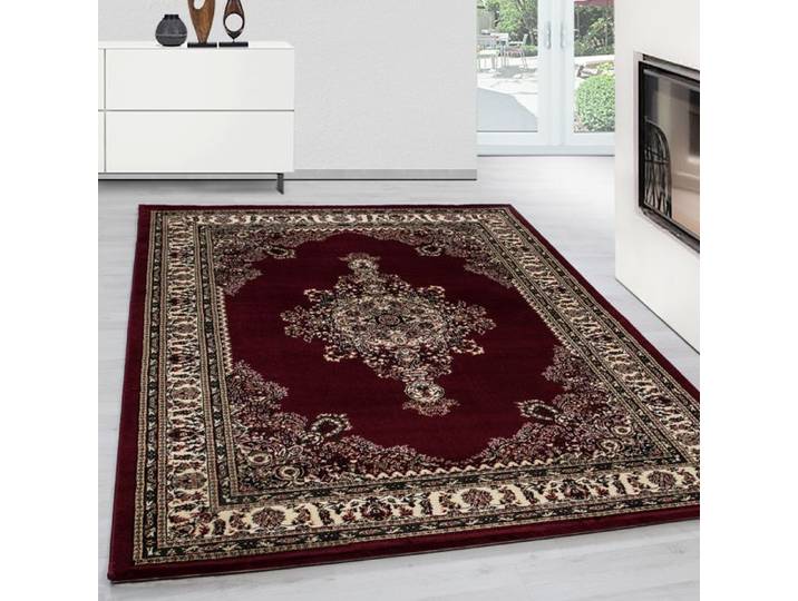 Teppium Tapis Oriental Rouge à Poil Court 300x400 cm - Design Classique et Motifs Floraux