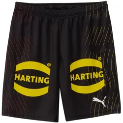 Puma, Herren, Sporthose, DHB Shorts with Sponsor (XXL), Schwarz